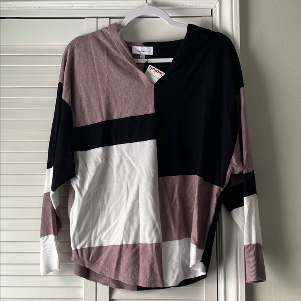 NWT Milano Colorblock Hooded Sweater
